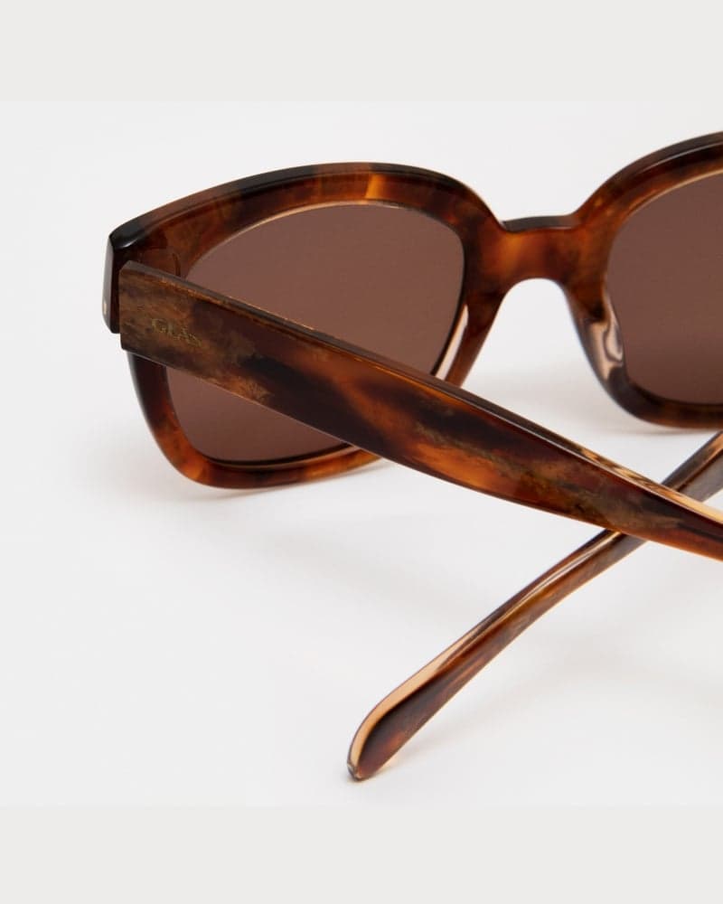 Chloe Turtle Brown Sunglasses