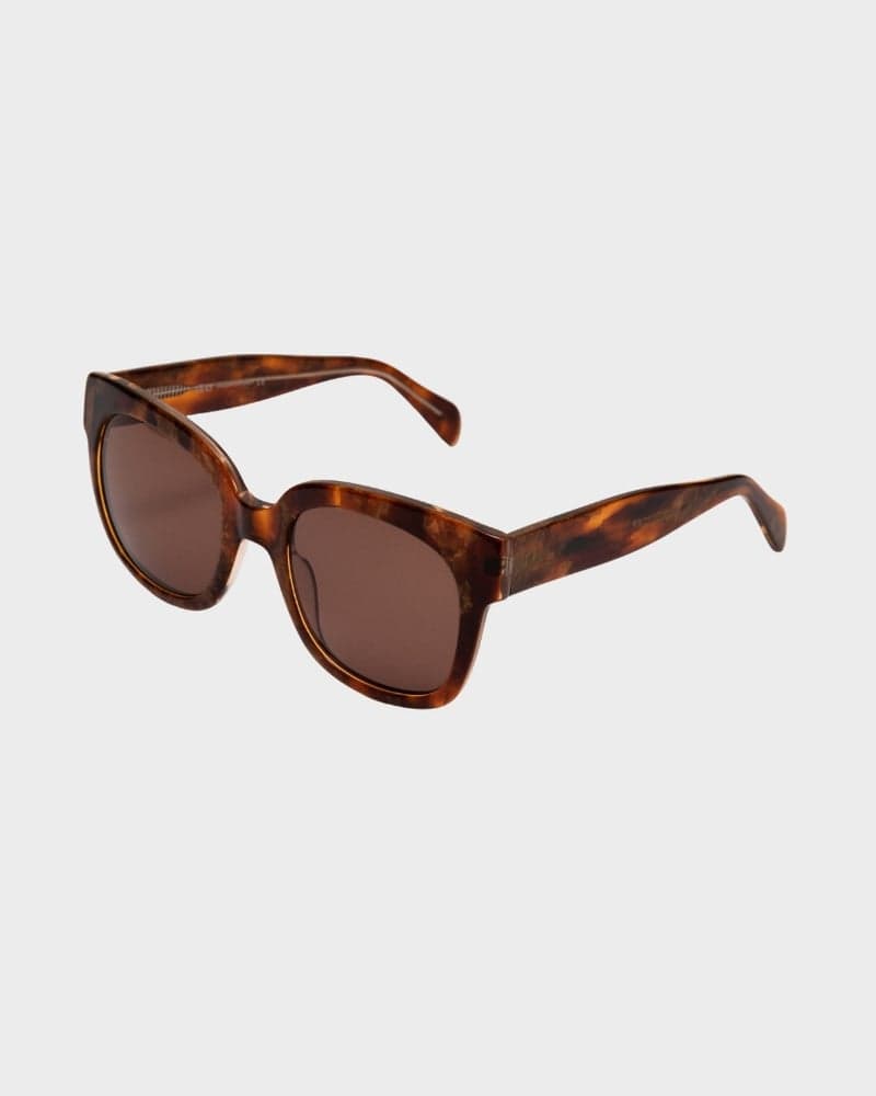 Chloe Turtle Brown Sunglasses