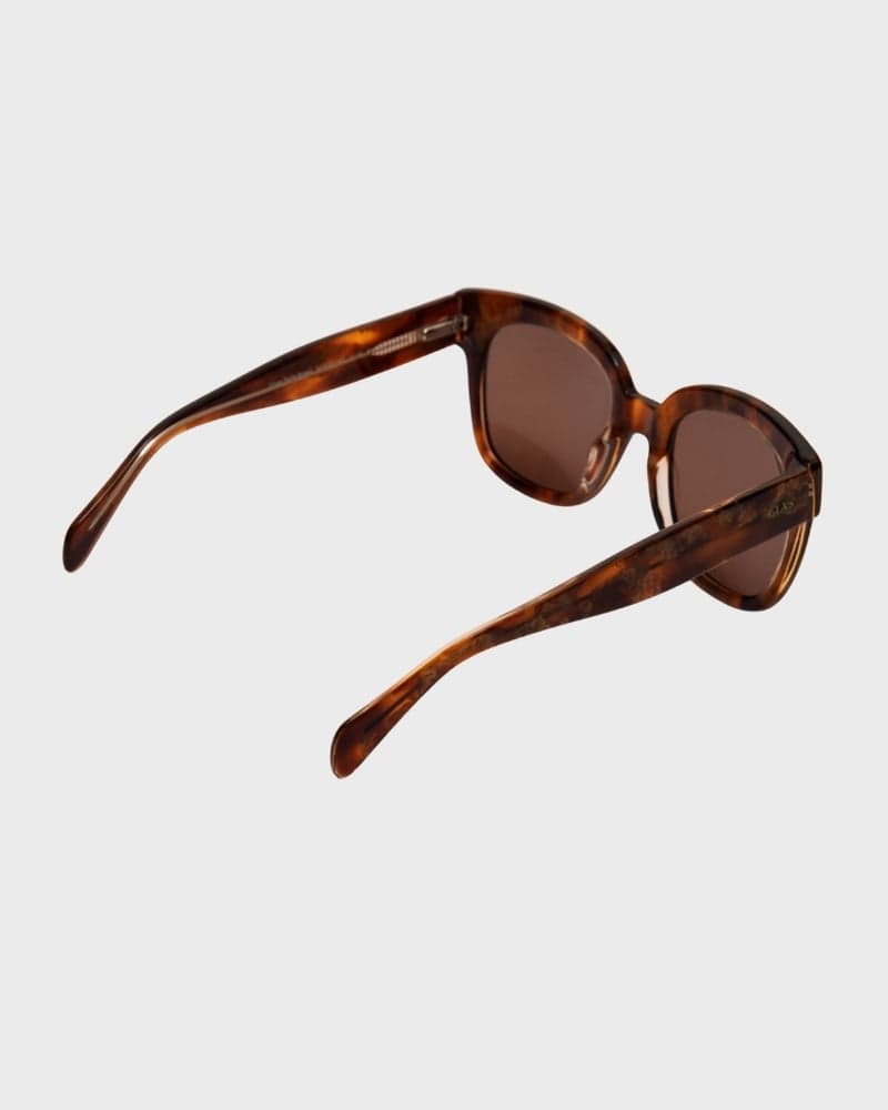 Chloe Turtle Brown Sunglasses